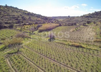 Foto 9 - Terreno agricolo C.da Bochini
 
s.n.c, Avola - foto 9
