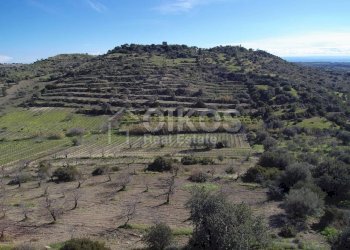 Foto 10 - Terreno agricolo C.da Bochini
 
s.n.c, Avola - foto 10