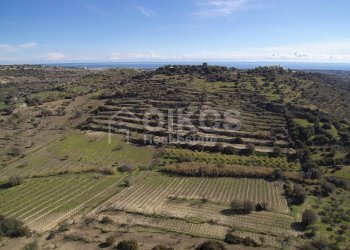 Foto 11 - Terreno agricolo C.da Bochini
 
s.n.c, Avola - foto 11