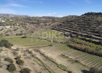 Foto 12 - Terreno agricolo C.da Bochini
 
s.n.c, Avola - foto 12