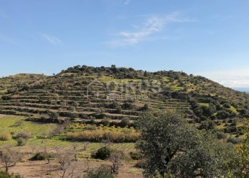 Foto 13 - Terreno agricolo C.da Bochini
 
s.n.c, Avola - foto 13