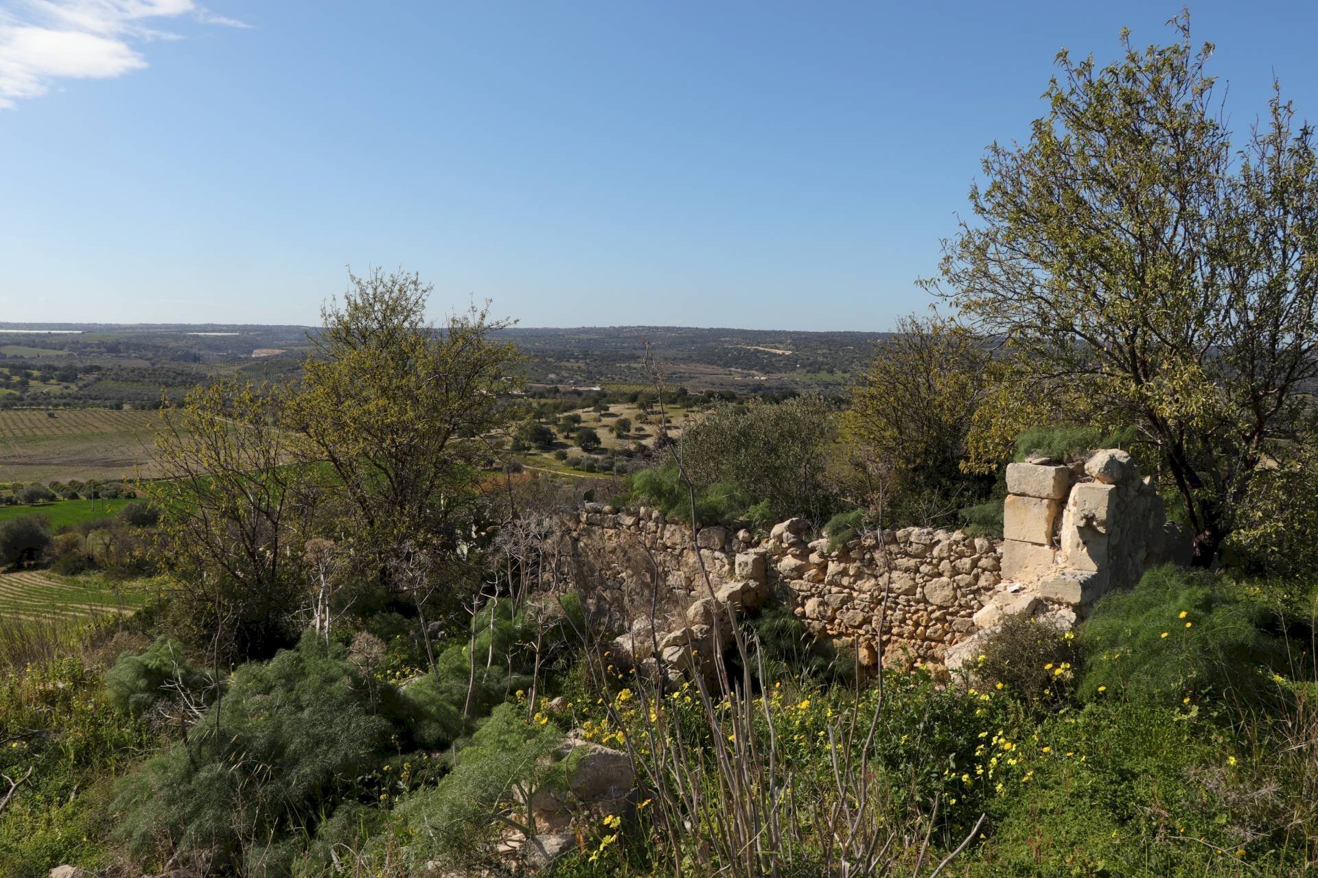 Foto 3 - Agricultural land Noto - photo 3