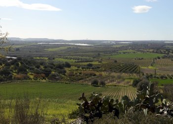 Foto 1 - Terreno agricolo Noto - foto 1