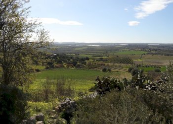 Foto 4 - Terreno agricolo Noto - foto 4