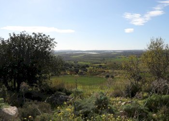 Foto 7 - Terreno agricolo Noto - foto 7