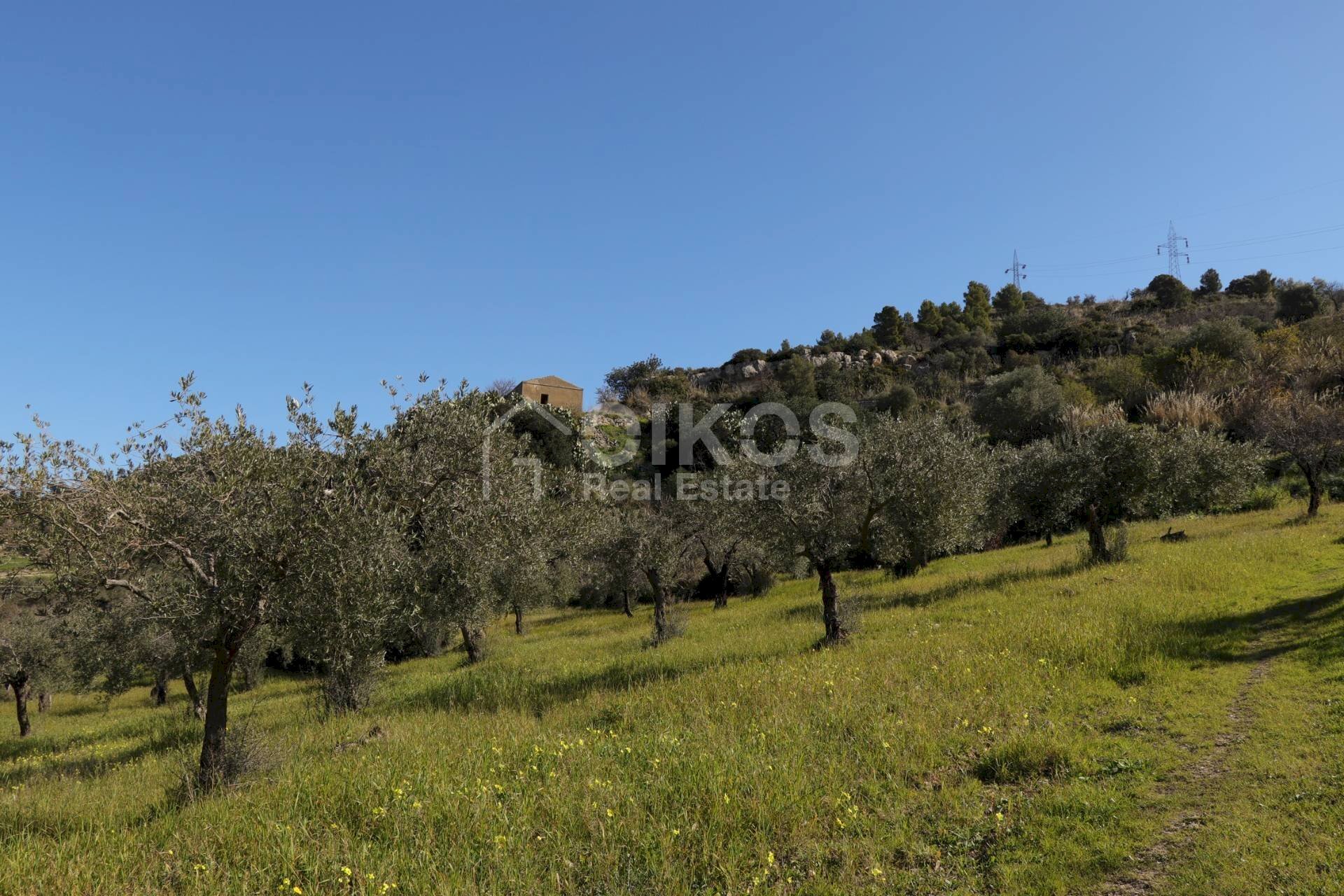 Foto 1 - Terreno agricolo C.da Renna
 
1, Noto - foto 1