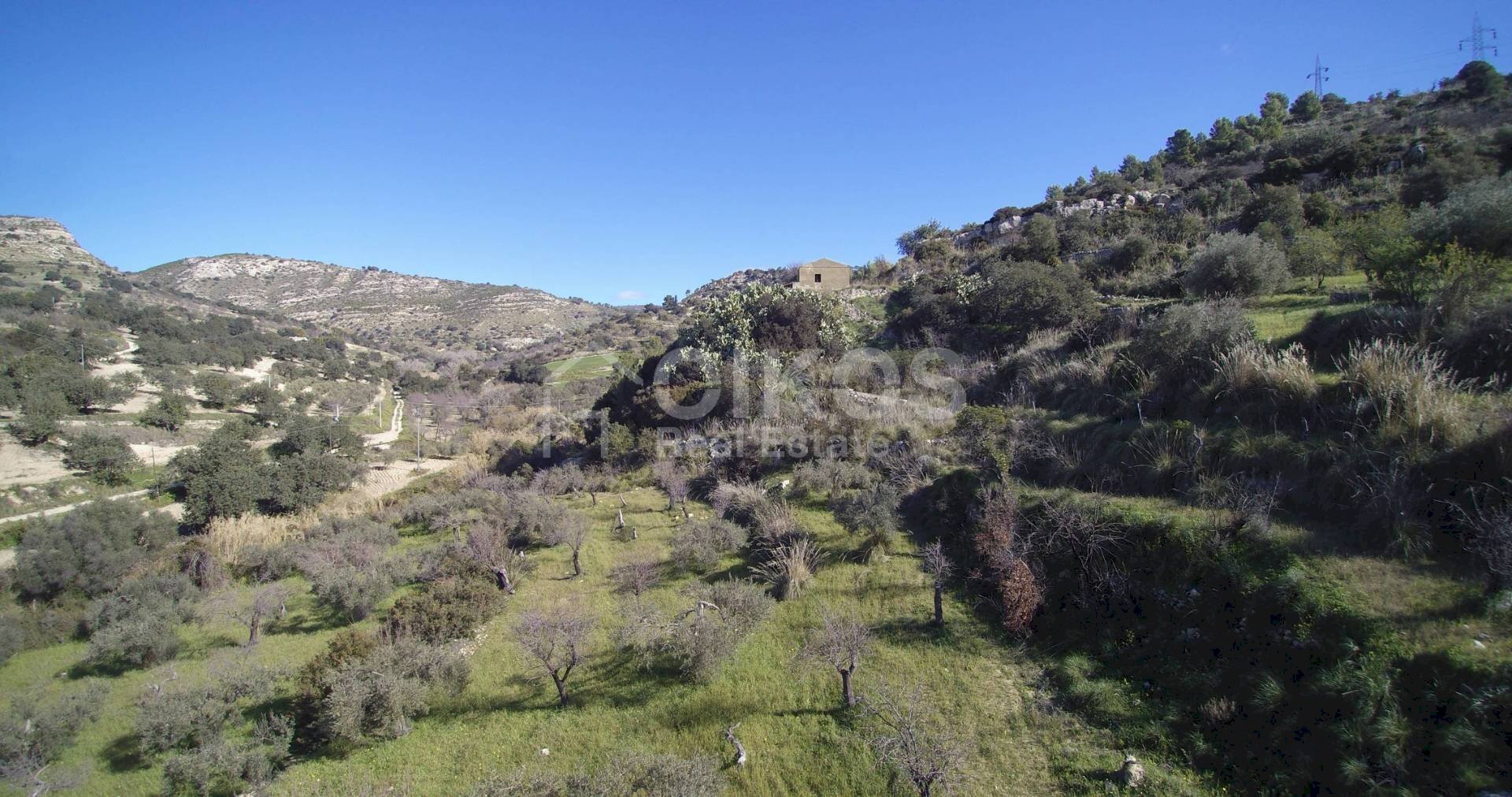 Foto 8 - Terreno agricolo C.da Renna
 
1, Noto - planimetria 1