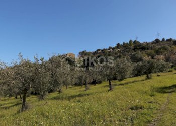 Foto 1 - Agricultural land C.da Renna
 
1, Noto - photo 1