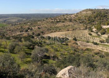 Foto 2 - Agricultural land C.da Renna
 
1, Noto - photo 2