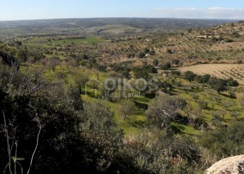 Foto 3 - Agricultural land C.da Renna
 
1, Noto - photo 3