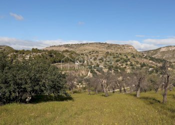 Foto 5 - Agricultural land C.da Renna
 
1, Noto - photo 5