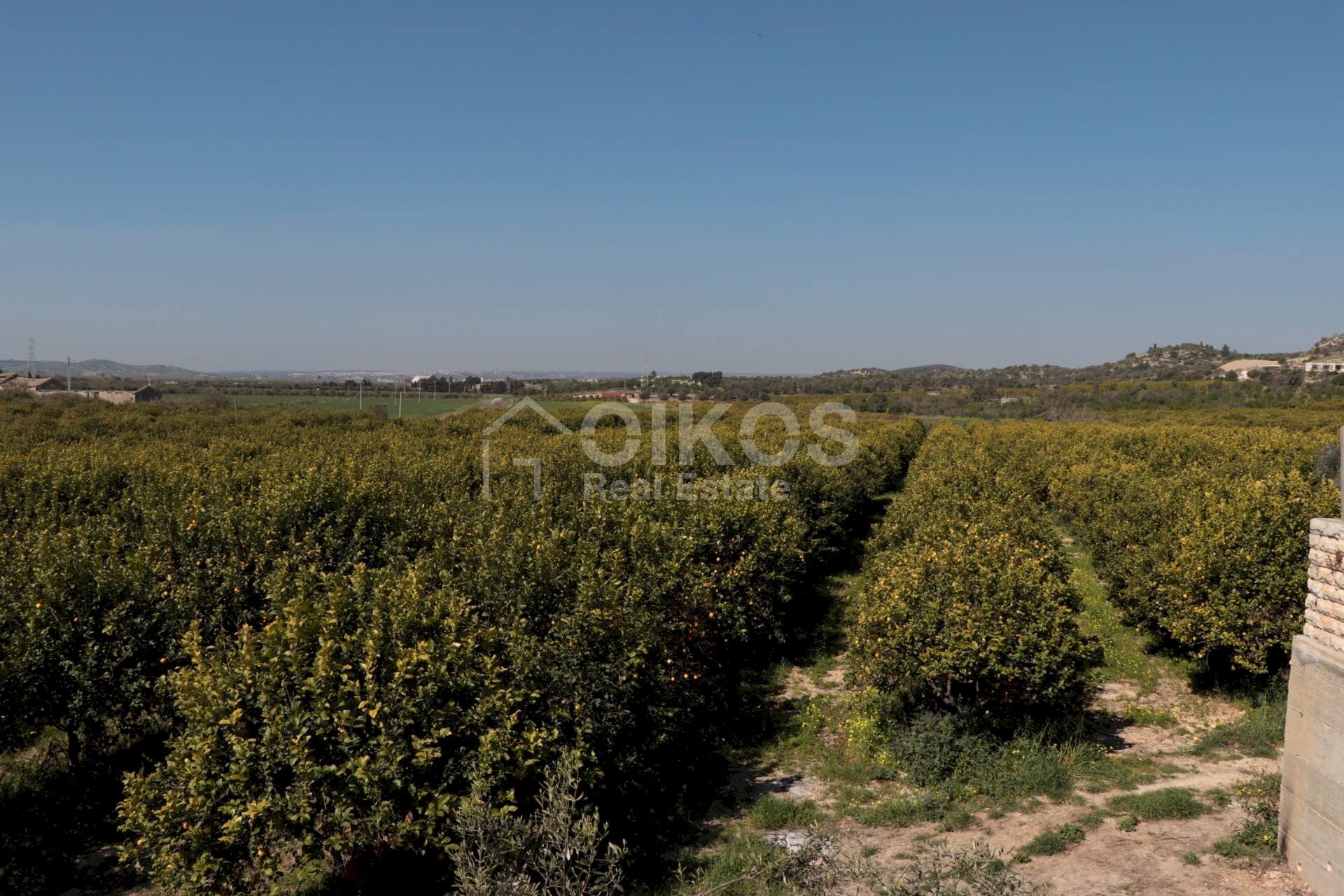 Foto 2 - Terreno agricolo via Napoli
 
37, Noto - foto 2