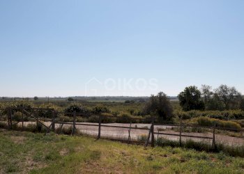 Foto 5 - Agricultural land via Napoli
 
37, Noto - photo 5