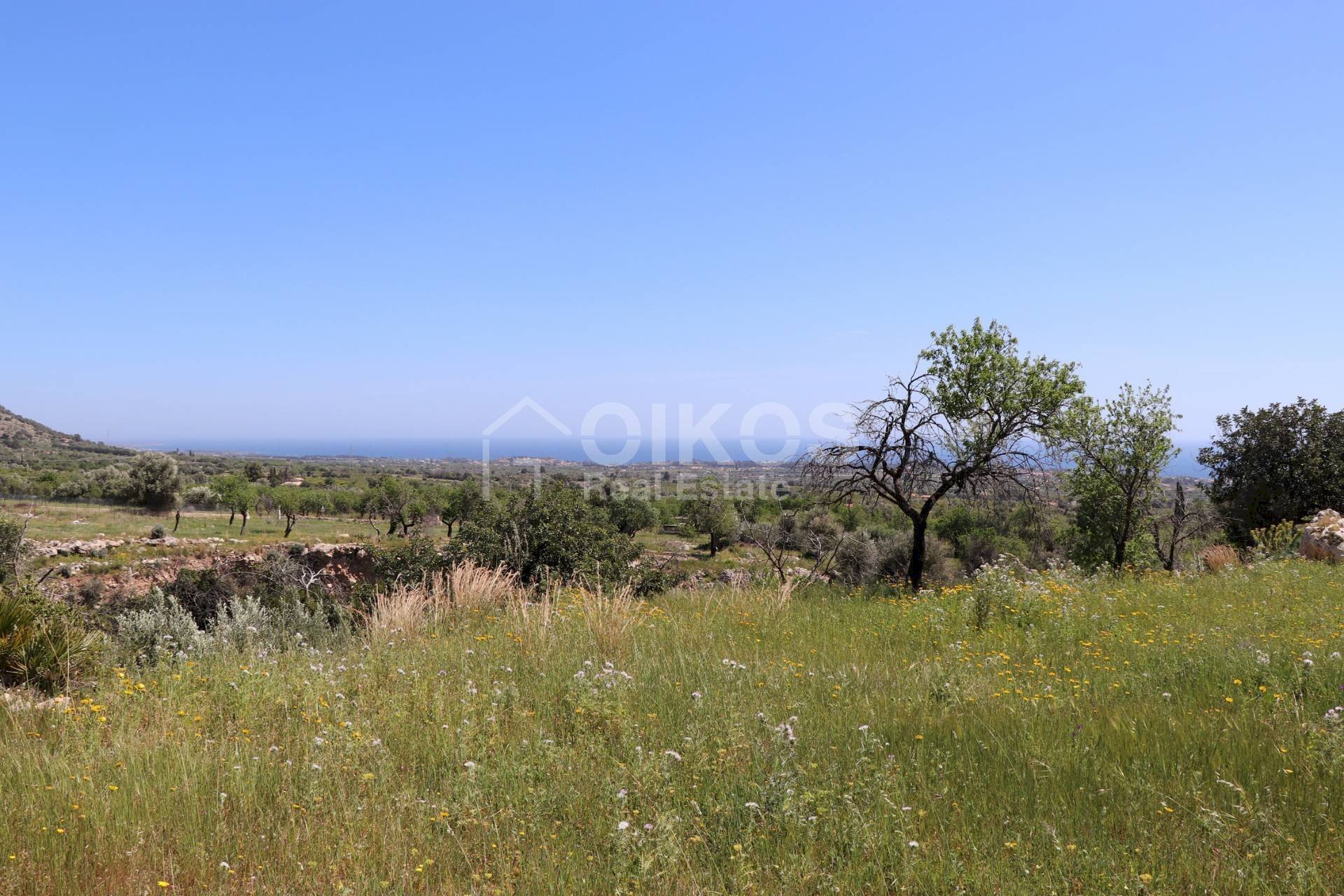 Foto 2 - Agricultural land C.da Carrubeto
 
1, Avola - photo 2