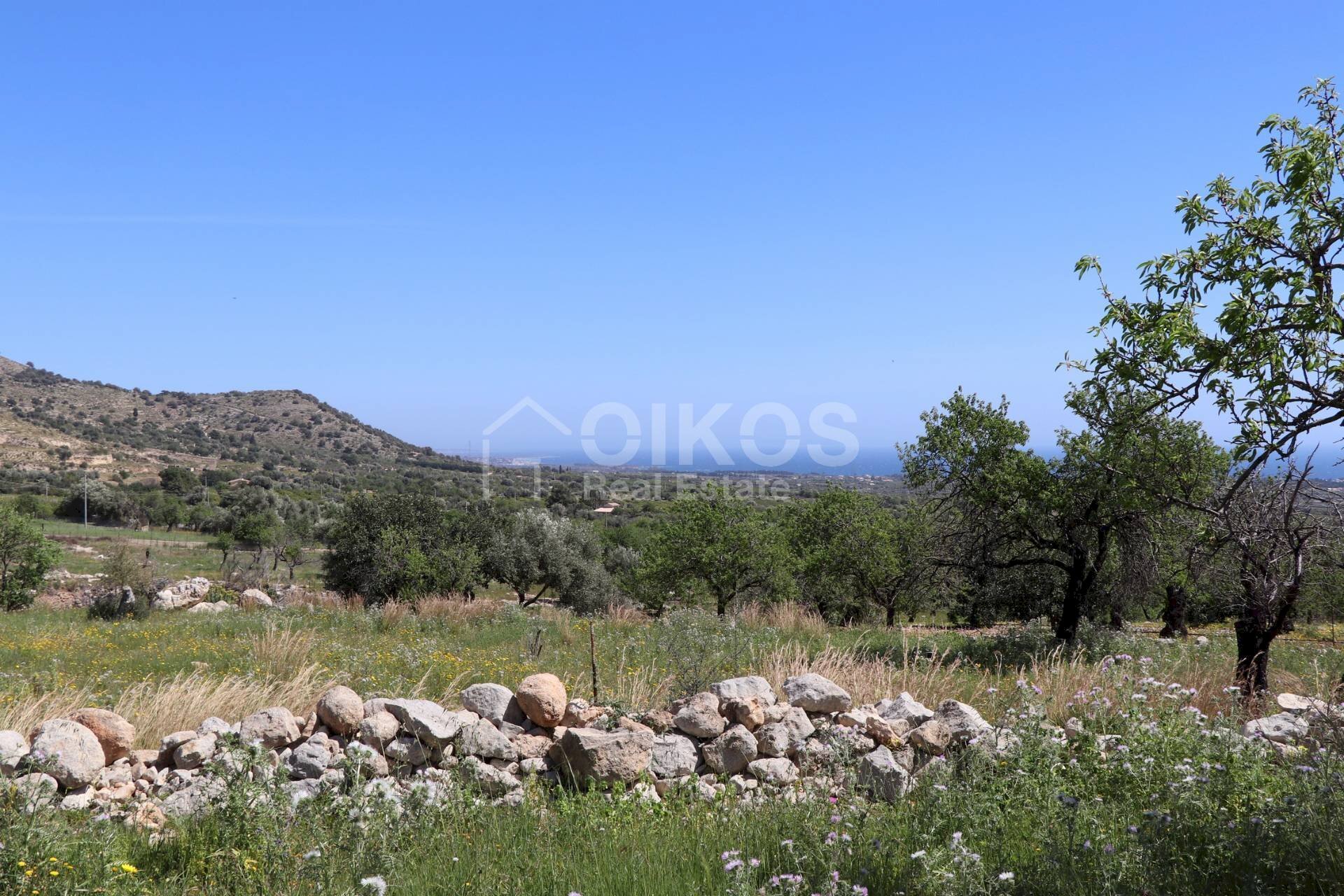 Foto 3 - Agricultural land C.da Carrubeto
 
1, Avola - photo 3