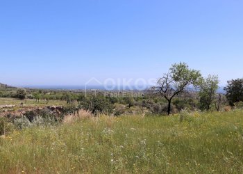 Foto 2 - Terreno agricolo C.da Carrubeto
 
1, Avola - foto 2