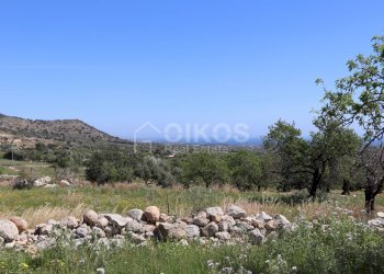 Foto 3 - Terreno agricolo C.da Carrubeto
 
1, Avola - foto 3