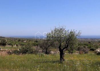 Foto 4 - Terreno agricolo C.da Carrubeto
 
1, Avola - foto 4