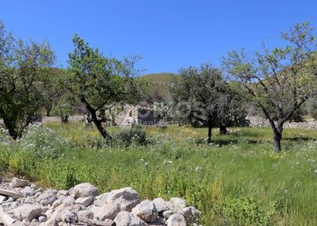 Foto 8 - Terreno agricolo C.da Carrubeto
 
1, Avola - foto 8