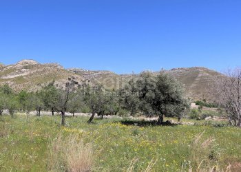 Foto 9 - Terreno agricolo C.da Carrubeto
 
1, Avola - foto 9