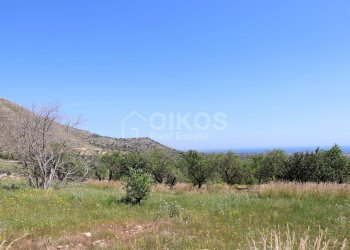 Foto 10 - Terreno agricolo C.da Carrubeto
 
1, Avola - foto 10