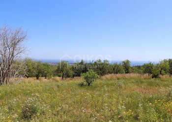 Foto 11 - Terreno agricolo C.da Carrubeto
 
1, Avola - foto 11