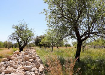 Foto 12 - Terreno agricolo C.da Carrubeto
 
1, Avola - foto 12