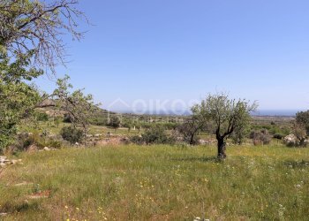 Foto 14 - Terreno agricolo C.da Carrubeto
 
1, Avola - foto 14