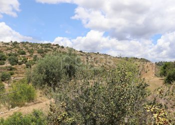 Foto 5 - Agricultural land C.da San Giovanni
 
1, Noto - photo 5