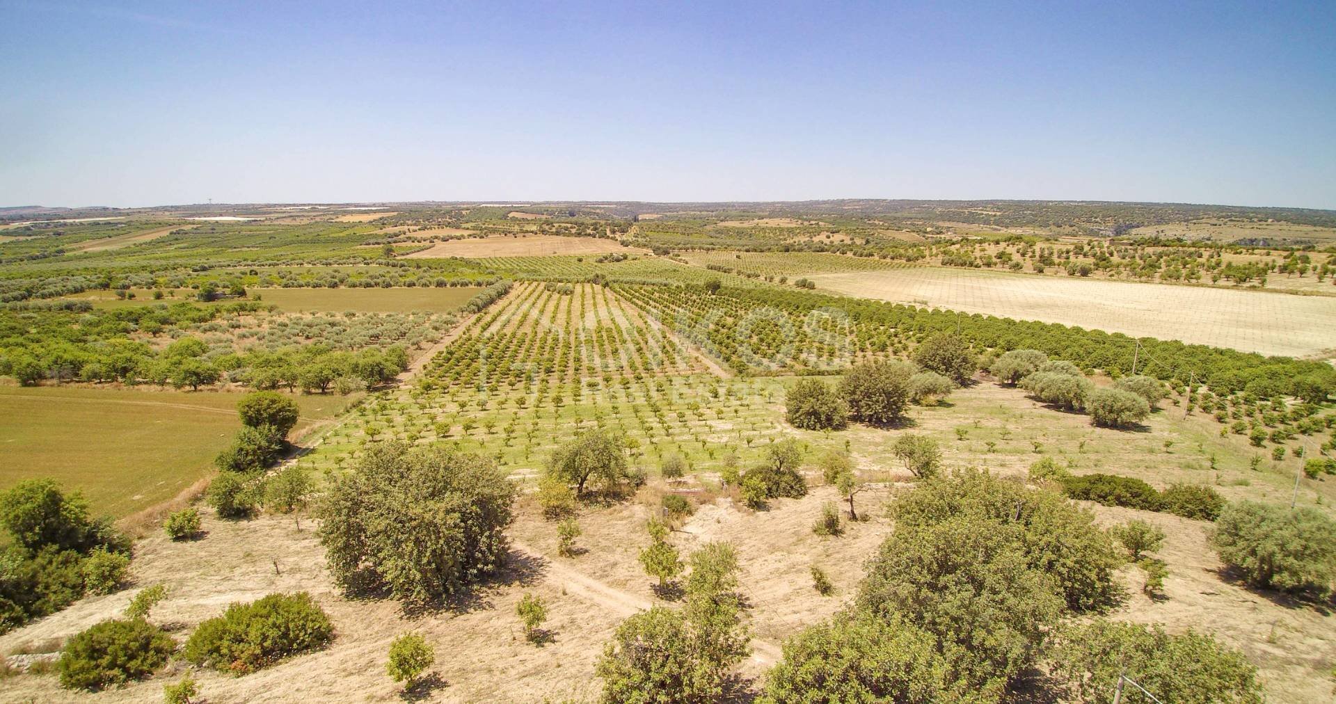 Foto 2 - Rustico c.da Renna
 
1, Noto - foto 2