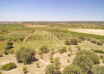 Foto 2 - Rustico c.da Renna
 
1, Noto - foto 2