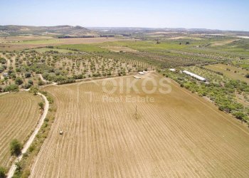 Foto 3 - Rustico c.da Renna
 
1, Noto - foto 3