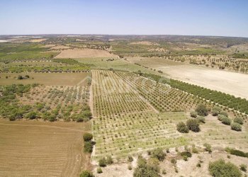 Foto 4 - Rustico c.da Renna
 
1, Noto - foto 4