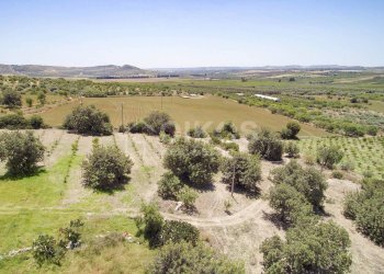 Foto 7 - Rustico c.da Renna
 
1, Noto - foto 7