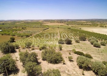 Foto 8 - Rustico c.da Renna
 
1, Noto - foto 8