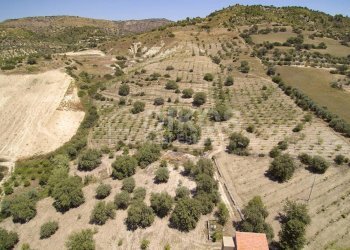 Foto 9 - Rustico c.da Renna
 
1, Noto - foto 9