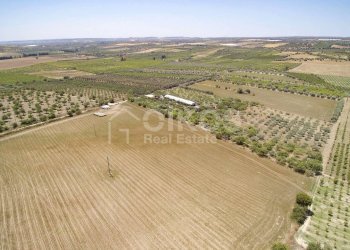 Foto 10 - Rustico c.da Renna
 
1, Noto - foto 10