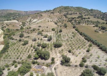 Foto 12 - Rustico c.da Renna
 
1, Noto - foto 12