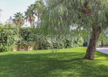 Foto 18 - Villa Via Di Lorenzo Borgia
 
14, Noto - foto 17