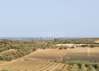Foto 1 - Terreno agricolo c.da Bonivini
37, Noto - foto 1