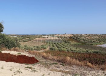 Foto 2 - Terreno agricolo c.da Bonivini
37, Noto - foto 2