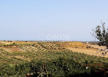 Foto 10 - Terreno agricolo c.da Bonivini
37, Noto - foto 10
