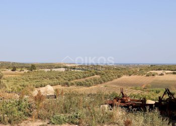 Foto 11 - Terreno agricolo c.da Bonivini
37, Noto - foto 11