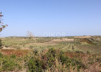 Foto 12 - Terreno agricolo c.da Bonivini
37, Noto - foto 12