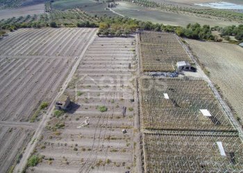 Foto 17 - Terreno agricolo c.da Bonivini
37, Noto - foto 17