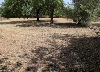 Foto 21 - Villa C.da Casebianche
 
s.n.c., Palazzolo Acreide - foto 21