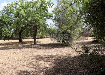 Foto 29 - Villa C.da Casebianche
 
s.n.c., Palazzolo Acreide - foto 29