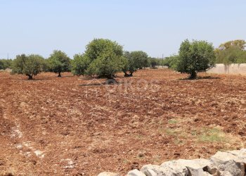 Foto 61 - Villa C.da Scorrione
 
s.n.c, Modica - foto 61