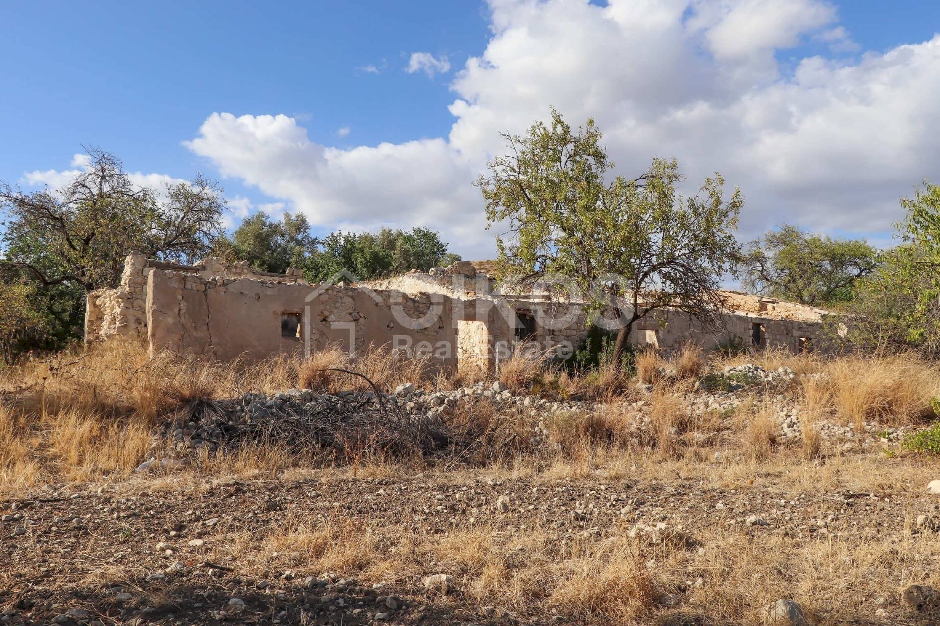 Foto 2 - Terreno agricolo C.da Bochini
 
s.n.c., Avola - foto 2