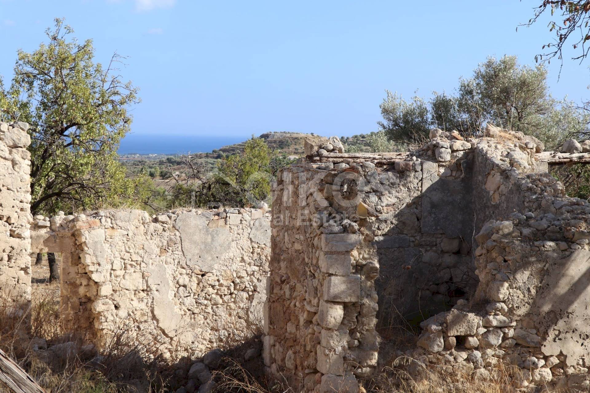 Foto 3 - Terreno agricolo C.da Bochini
 
s.n.c., Avola - foto 3